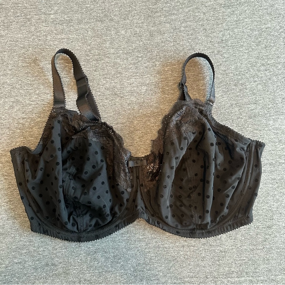 NWOT Lace Polka Dot Bra